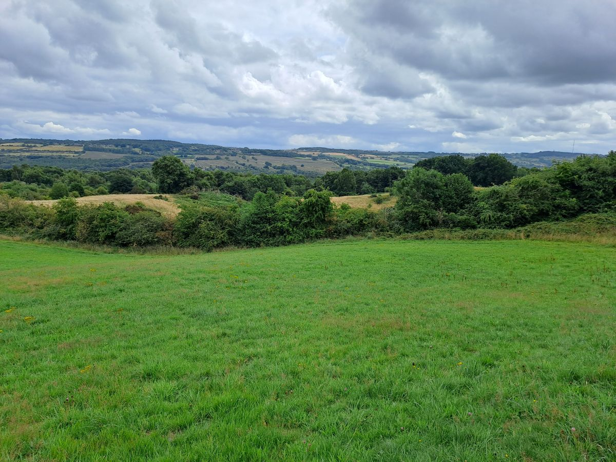 Another field
